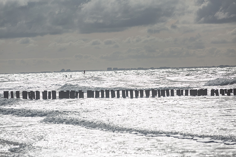 Wandeling Zoutelanden